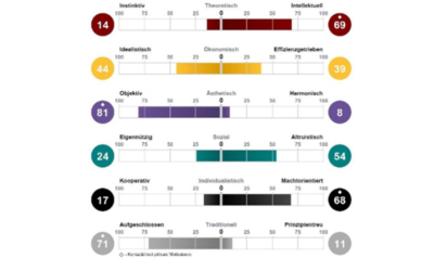 INSIGHTS MDI® : High Performer binden über die Lebensmotive und Werte